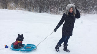 Director Winter Film Tour 2018 -Operation Wedding, documentary