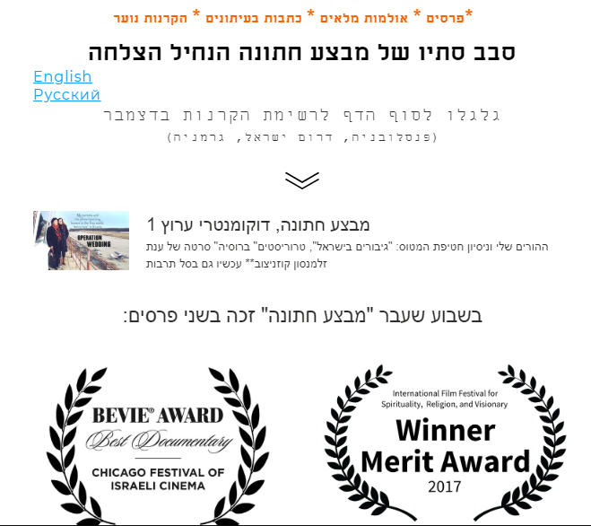 נובמבר 2017