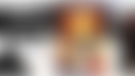 עיריית כרמיאל - הקרנה וסגירת תערוכתה של סילווה זלמנסון