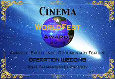 Award of Excellence - Cinema World Fest Awards Winter 2018