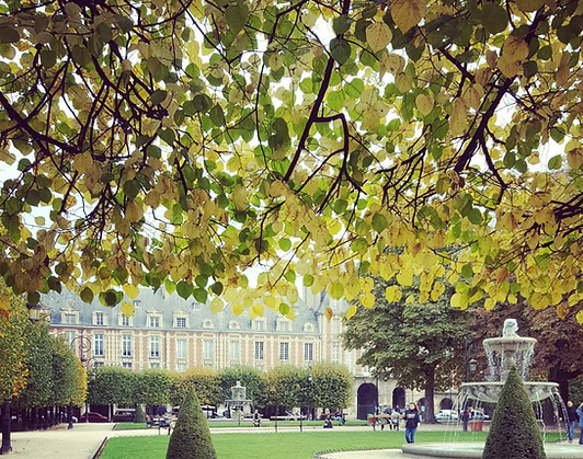 Best  tour of Le Marais