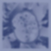 18011740544675347_edited.jpg