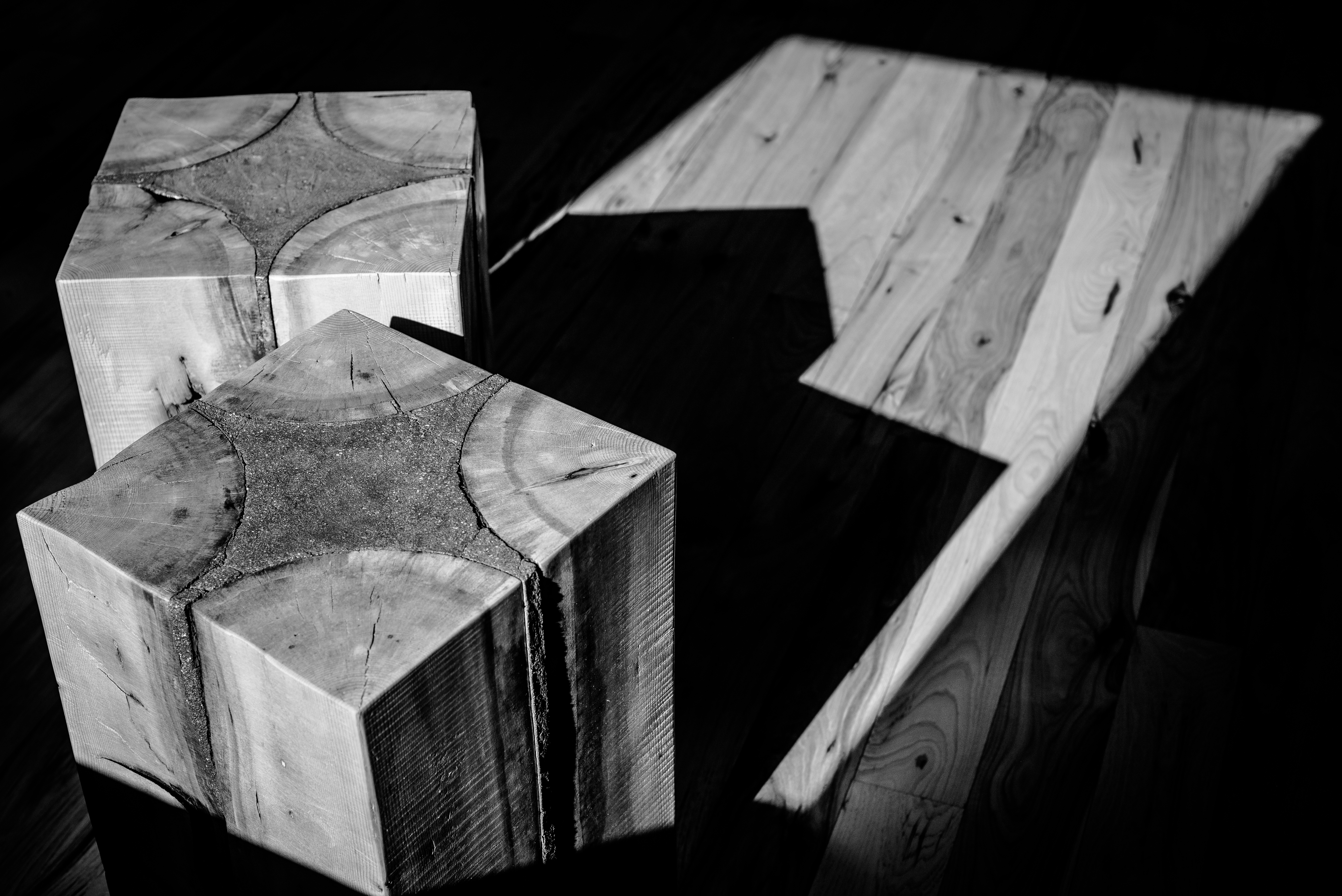 deadwood stools