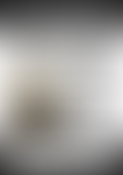 Type Slowlyの2冊目、情報が公開されました。今回はガザの漫画です。