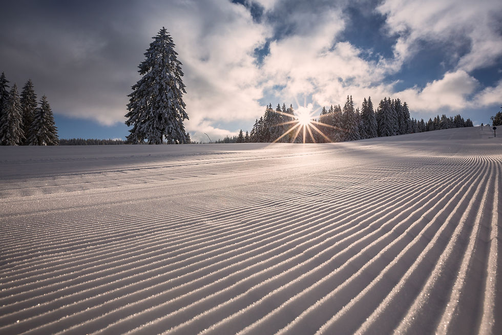 Corduroy piste in the sunshine