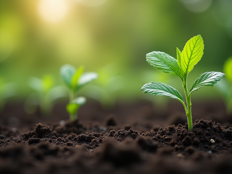 Sustainable Farming: Principles for a Greener Future