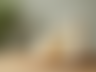 Building Your Organic Skincare Routine: Simple Organic Skincare Steps to Glow Naturally