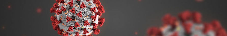 Coranavirus .jpg