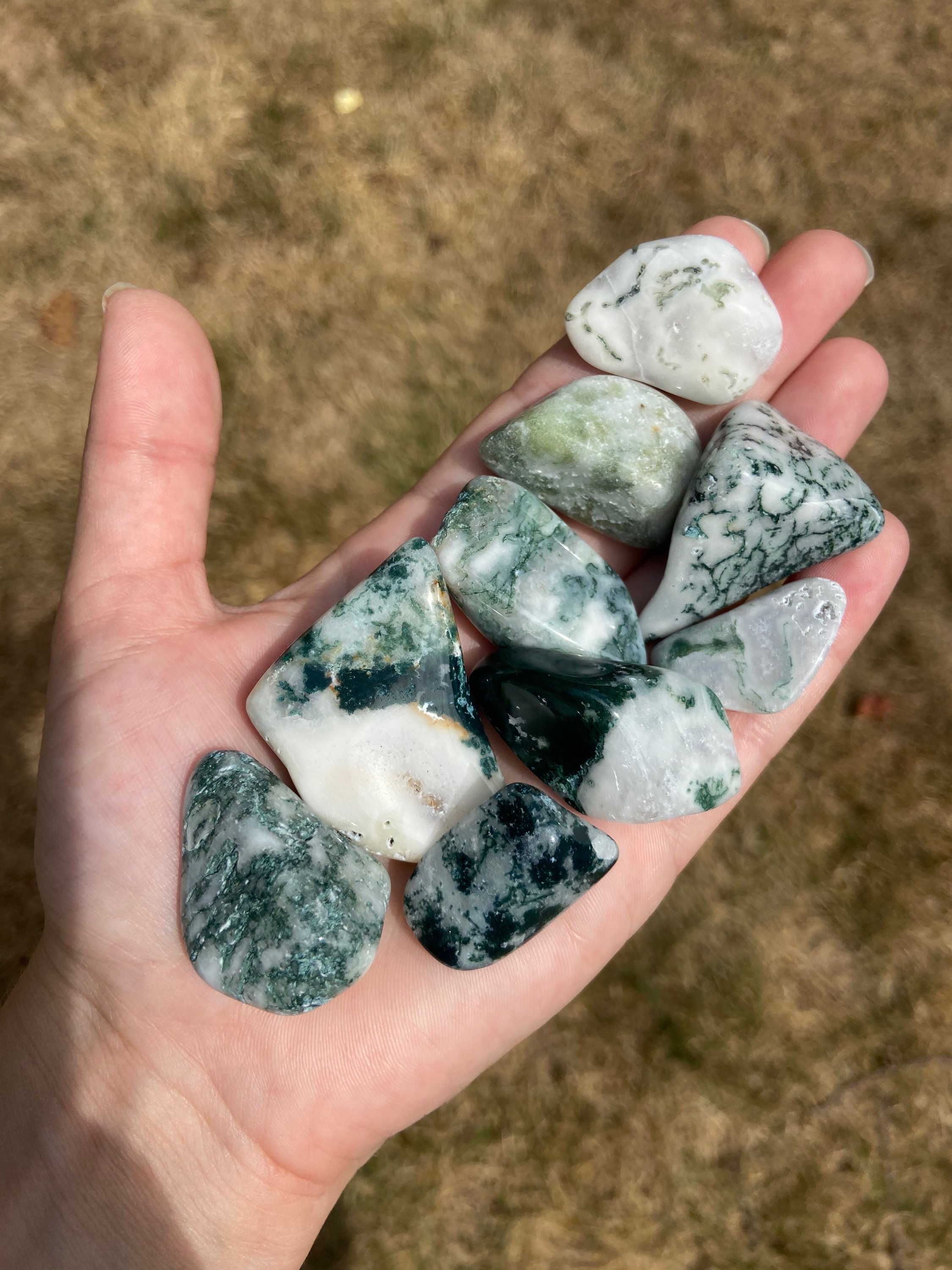 Tree agate tumble