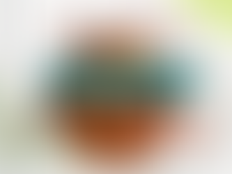 News semanal IBPecan: as notícias que são destaque na pecanicultura