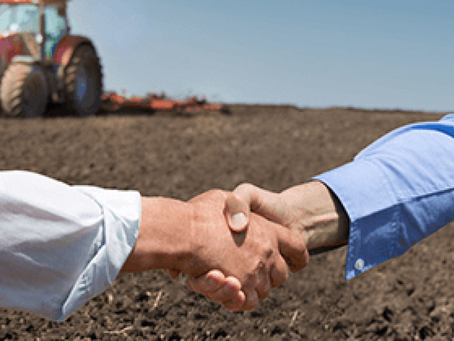 IBPecan amplia suas atividades na área comercial