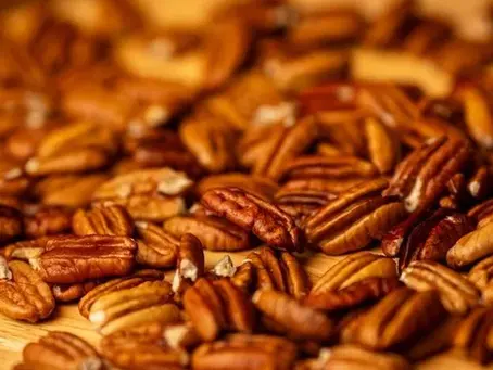 Clima impacta produção gaúcha de noz-pecã