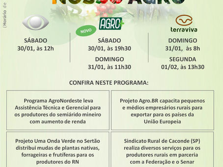 Potencial da noz-pecan é destaque nacional no programa Nosso Agro