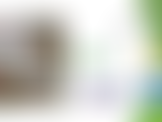 Live IPecan com o tema poda de inverno.