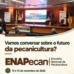 Volumes comercializados de noz-pecã entram no debate do ENAPecan