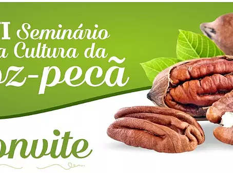 VI Seminário da cultura da Noz-pecã