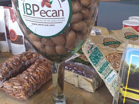 News semanal IBPecan: as notícias que são destaque na Pecanicultura