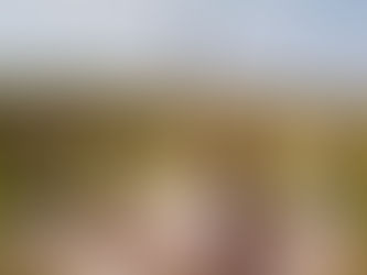 RS instala estações meteorológicas que monitoram deriva de 2,4-D