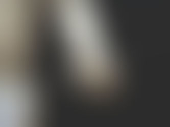 Chinese Robotics Firm Overcomes Geopolitical Headwinds with BizLinks