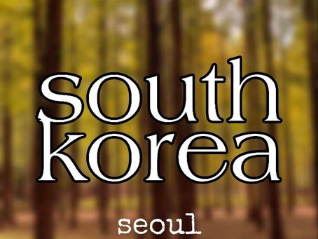 South Korea Vlog #4 - Seoul
