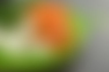 Guia para cozinhar a vapor