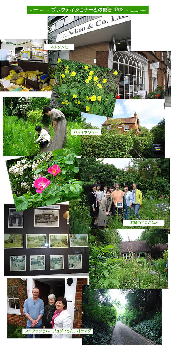 pratravel2013.jpg