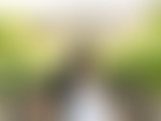 LILY + SIMON - CHATEAU ST JEAN KENWOOD WEDDING