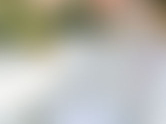 The Rise of Virtual Wedding Planning: A Modern Trend for Modern Couples