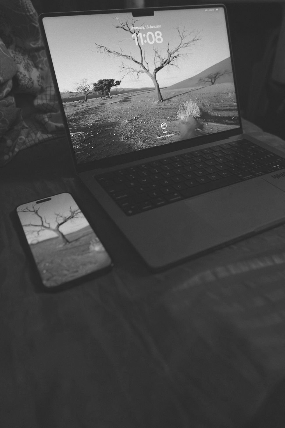 freebird-10c-QZU3P8vKM64-unsplash_edited.jpg
