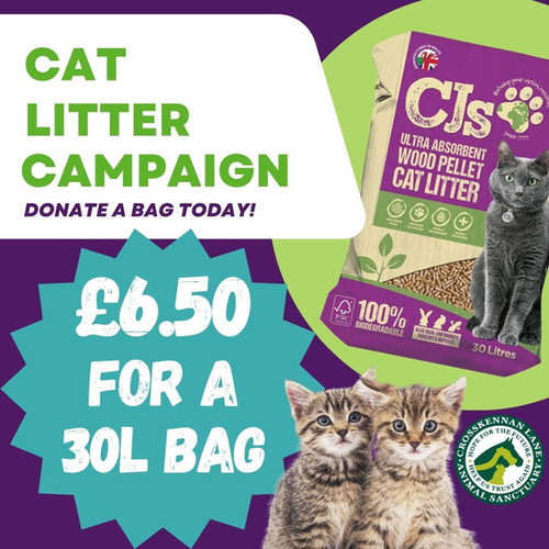 Donate 1 x Bag of Cat Litter Crosskennan Lane Animal Sanctuary