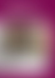 Programmation du Pays d'Art et d'Histoire de février à juin 2026