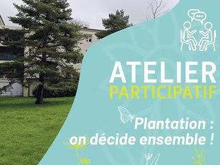 Atelier participatif - Plantations, on décide ensemble 