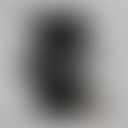 Wakanda Chic: Black Panther Disneybound Outfit for Women at Avengers Campus