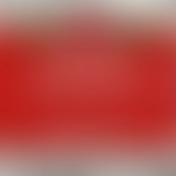 EPCOT Festival of the Holidays Outfits Guide text on red background with holly, bow, and geometric pattern.