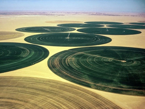 Desertizzazione e ipersfruttamento delle terre 
