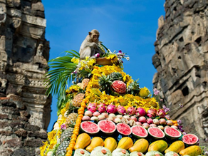 Monkey Buffet Festival di Lopburi