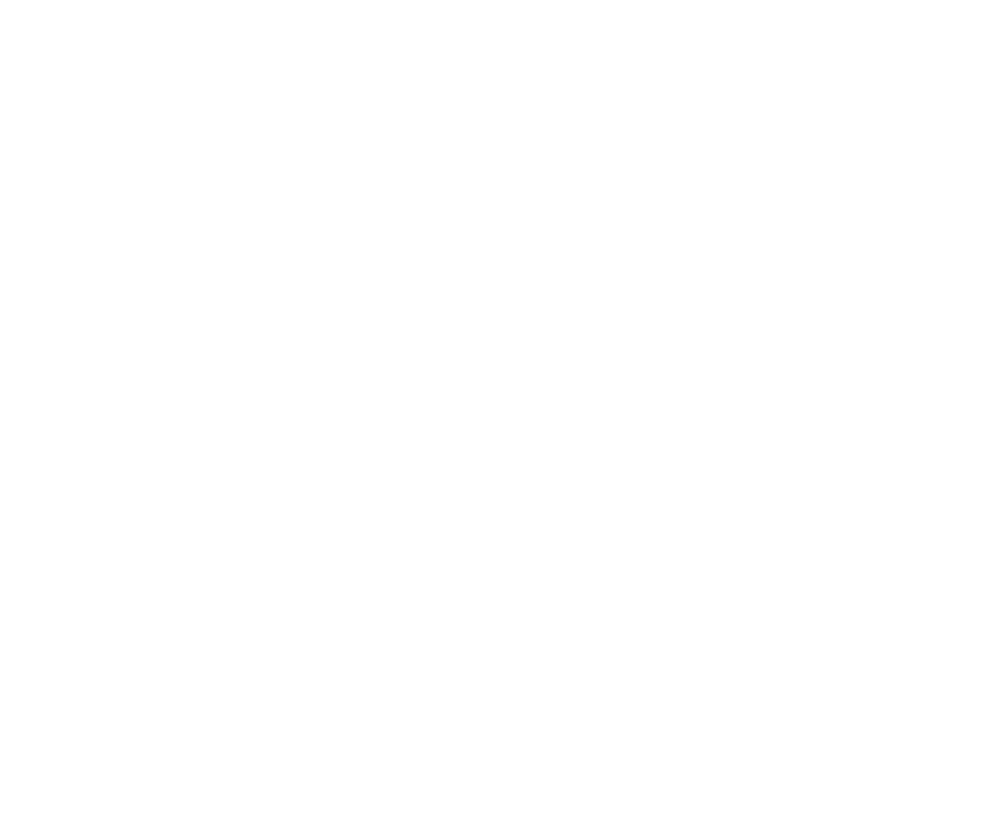NEW MTN WTR Logo White.png