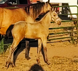 Screenshot_20250817-205314