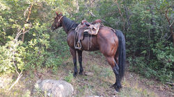 IMG_20250628_194159907