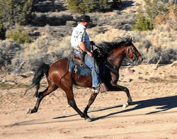 CometSingleFootElberta1