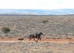 VideoCapture_20220311-195334