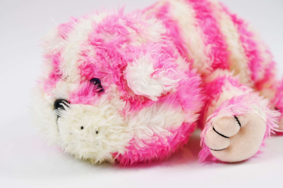 Thumbnail: Bagpuss