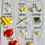 Thumbnail: NINI'S COOKING FUNDAMENTALS PACKAGE | On Demand