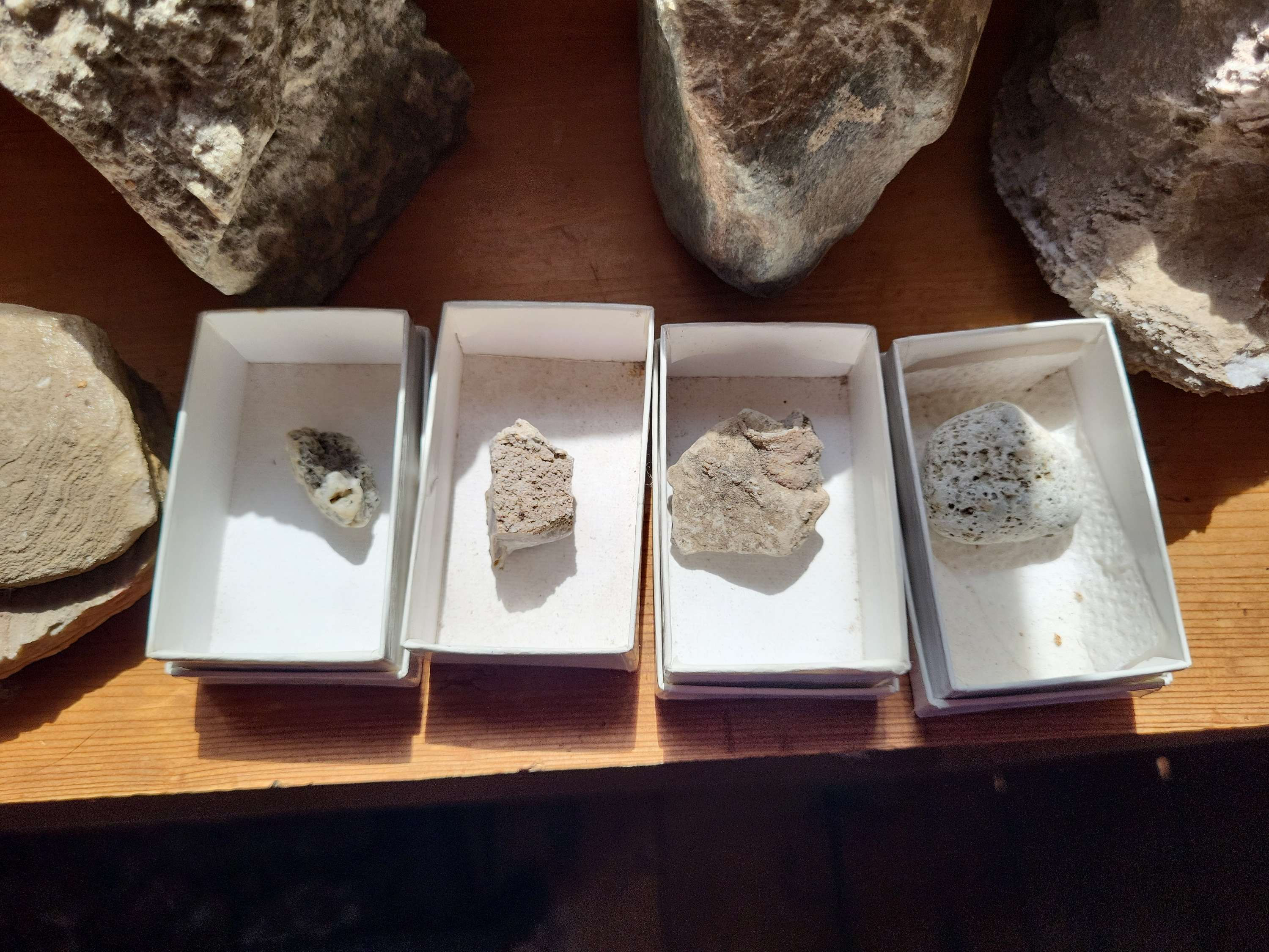 Boxed Fossils Rocks 