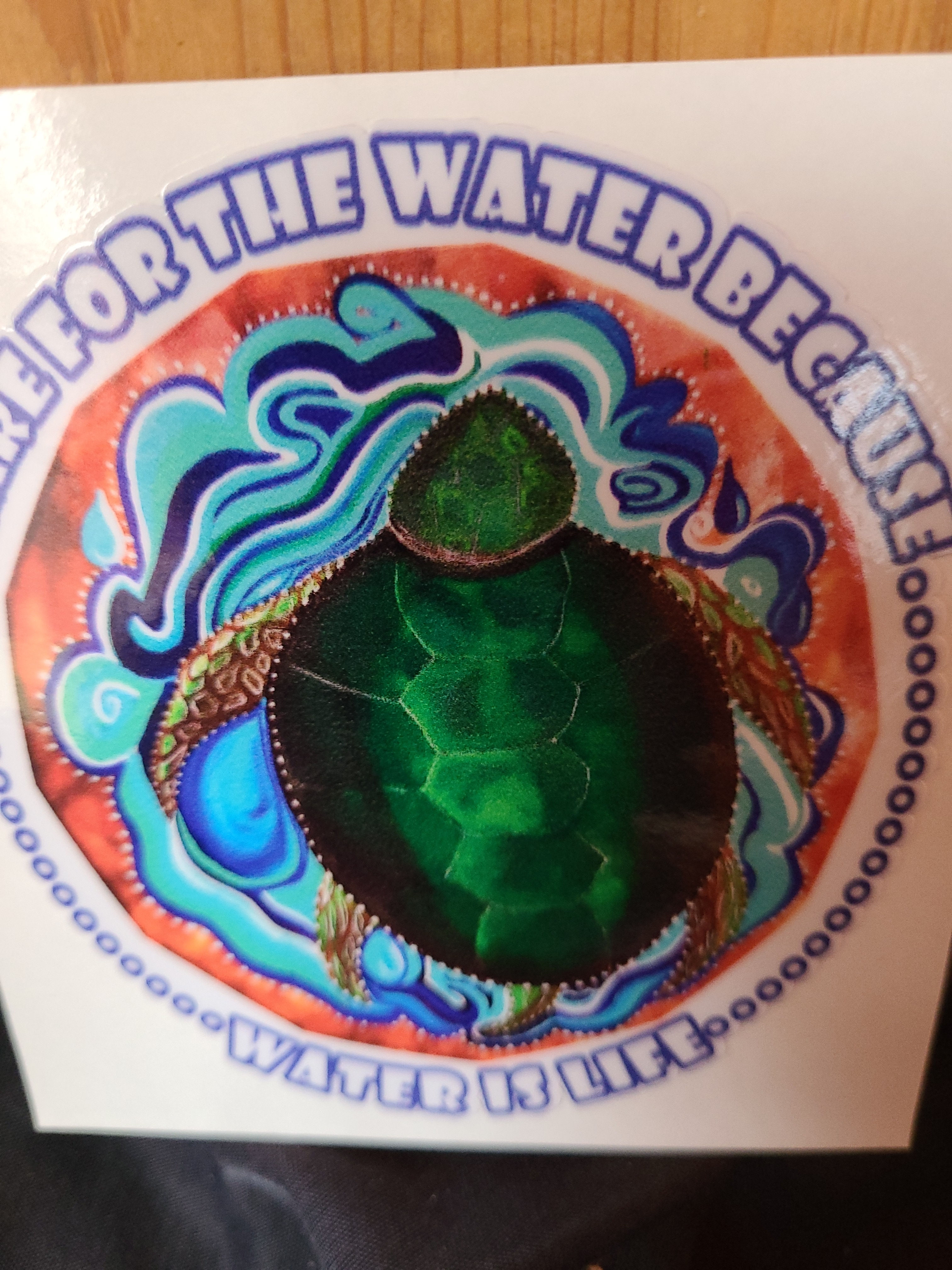 Water Is Life Individual Decal, Turtle