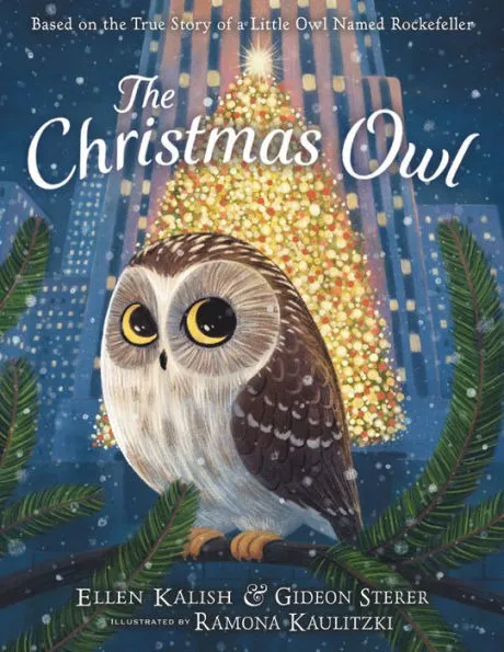 xmas owl.webp