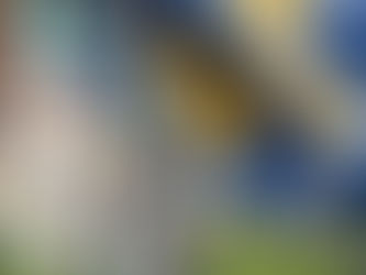 From a Snake to a Shoe, UTC's Mascot Has Seen Many Changes Over the Years, But Scrappy Remains On Top