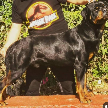 WhatsApp Image 2023-07-22 at 3.51.35 PM.jpeg