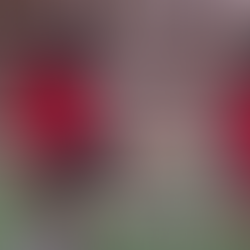 Outdoor 2026 Player Evaluations