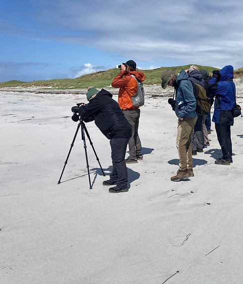 19 OHWF 2025 RSPB Machair Walk Daliburgh_S MacPherson_full permission_edited.jpg